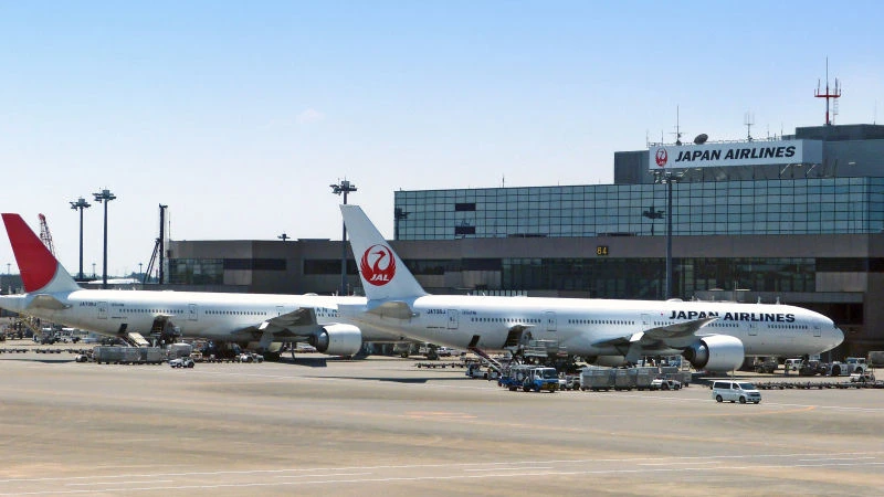 Japan Airlines animali a bordo